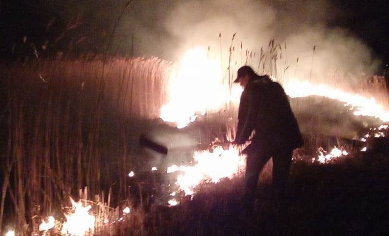 Incendiile de vegetație iau amploare în județul Botoșani! 13 incendii produse vineri - FOTO