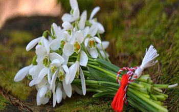 Tradiții și obiceiuri pe 1 …