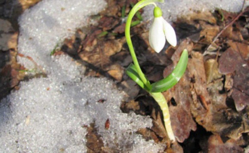 Prognoza meteo pe următoarele patru săptămâni. Cât mai ţine vremea rece