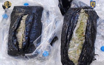 Doi bărbați arestați preventiv pentru …