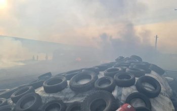 Un adăpost de animale și …