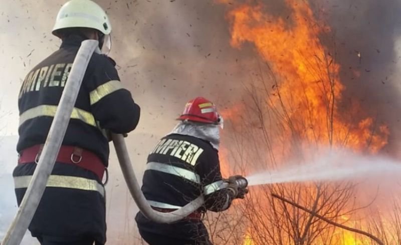 Peste 60 hectare de vegetație distruse duminică, în incendii