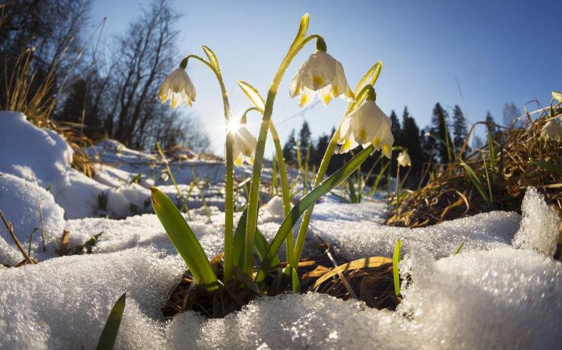 Prognoza meteo 14 martie - 11 aprilie. Vreme de iarnă în România pentru încă două săptămâni