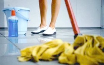 Senatul a reglementat activitatea lucrătorilor …