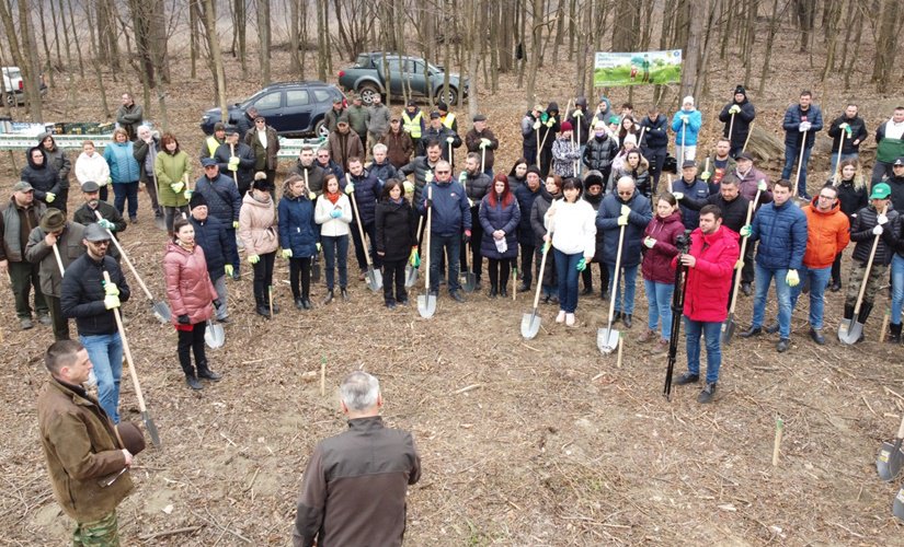 Social-democrații botoșăneni se alătură campaniei „Luna plantării arborilor”