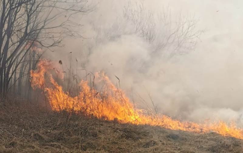 Zece incendii în județul Botoșani în ultimele 24 de ore