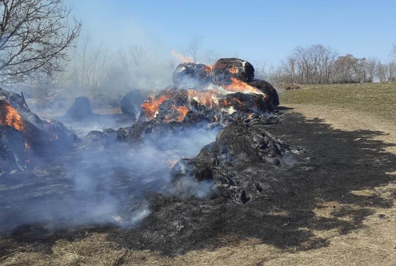 Incendiile continuă în județul Botoșani. Ultimele zile au fost foarte solicitante pentru pompieri - FOTO