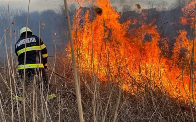 20 de incendii de vegetație uscată în județ în ultimele ore. Pompierii avertizează!