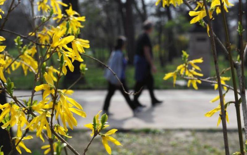 Prognoza meteo 7 -10 aprilie. Cum va fi vremea în acest sfârșit de săptămână