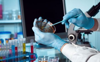 Consiliul Județean actualizează indicatorii tehnico-economici …