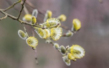Probleme mari din cauza vremii …