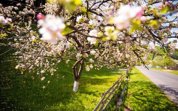 Prognoza meteo pentru luna mai. …