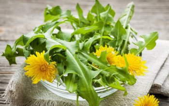 Tratamente naturiste: Cum folosim păpădia …