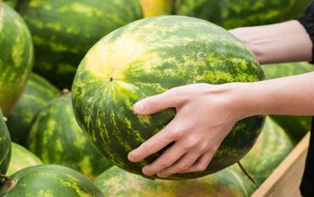 Fructul plin de pesticide retras …