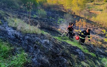 Două incendii de vegetație uscată …