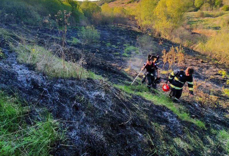 Două incendii de vegetație uscată și miriște le-au dat bătăi de cap pompierilor botoșăneni