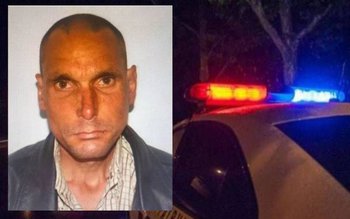 A plecat la o stână, …