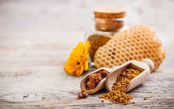 Polenul de albine folosit în …