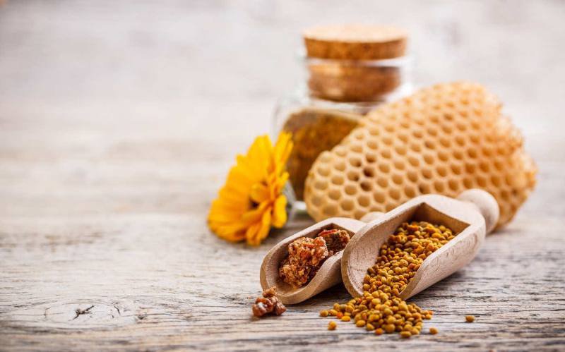 Polenul de albine folosit în tratamentul multor boli