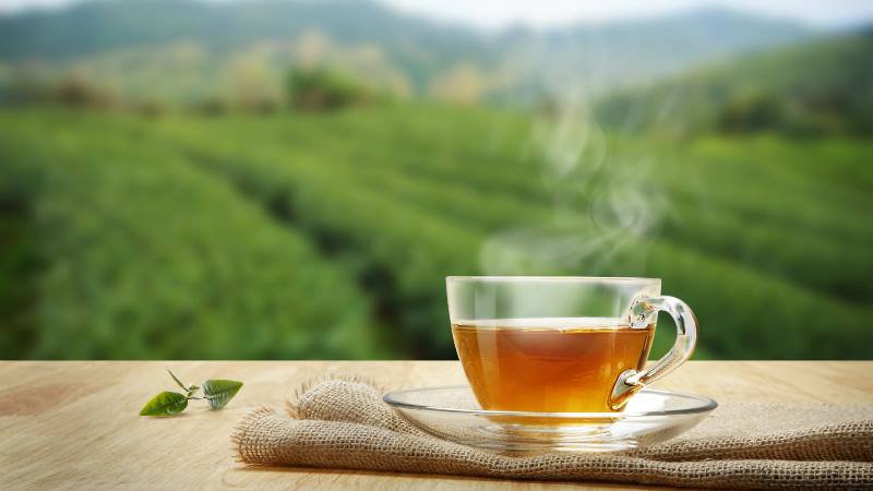 Ceai cu conținut ridicat de antioxidanți care echilibrează tensiunea arterială și colesterolul