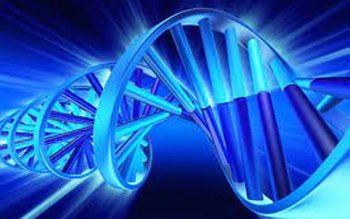 Reprezentare și rezultate deosebite ale …