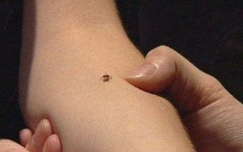 Cum ne bucurăm de natură …