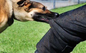 Femeie din Botoșani ajunsă la …