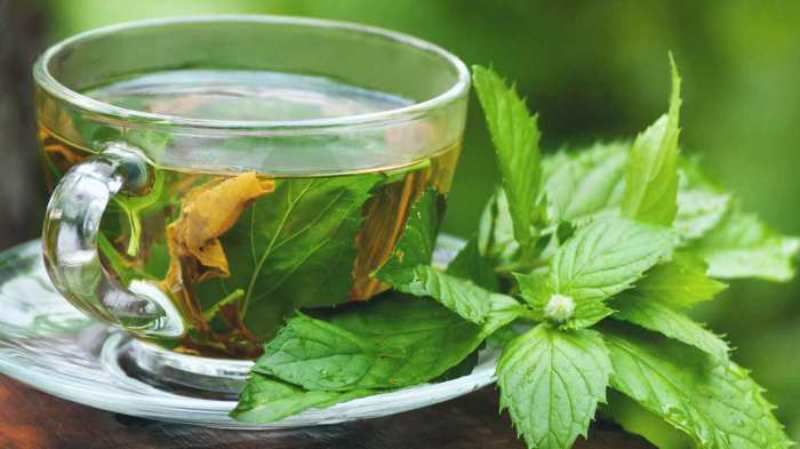Cum poate fi ceaiul de mentă un sprijin pentru sănătate