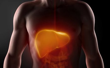 Alimente „grele” pentru ficat