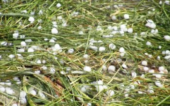 BOTOȘANI: Șase avertizări tip cod …