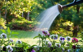 Ora potrivită din zi pentru …