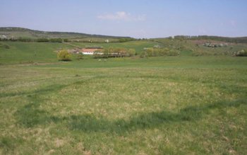 Un bărbat în vârstă de …