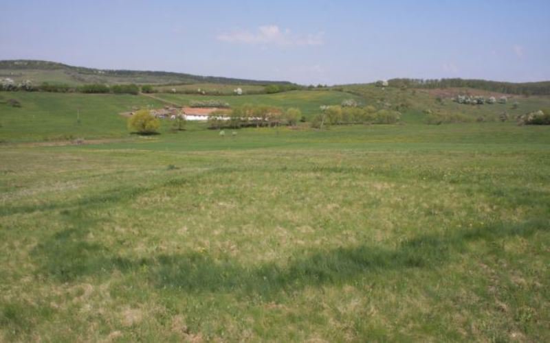 Un bărbat în vârstă de 30 de ani a murit pe un câmp din județul Botoșani, în timp ce muncea