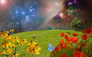 Horoscopul săptămânii 27 iunie - …