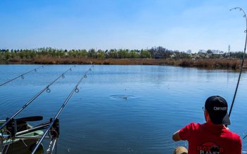 Anunț la nivel național. Ți …