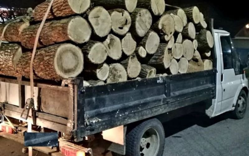 Transport ilegal de lemne depistat de polițiști la Botoșani