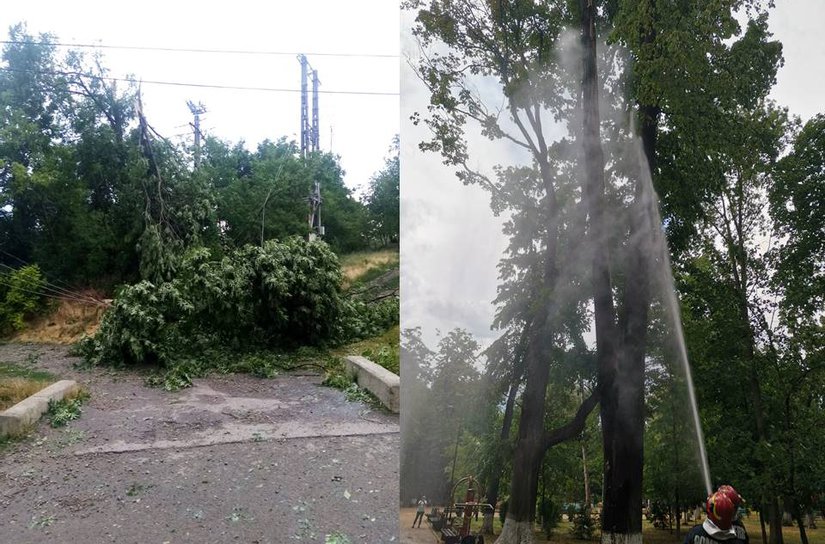 Copac lovit de trăsnet într-un parc din Botoșani