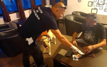 Droguri găsite în urma unui …