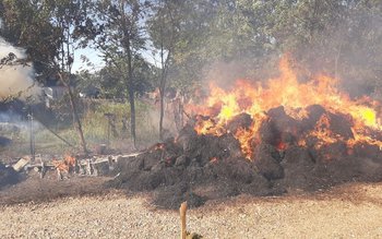 Depozit de fân cuprins de …