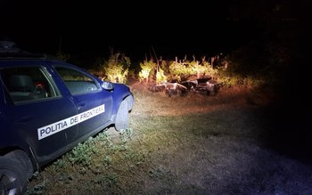 Cantitate impresionantă de țigări confiscată …