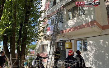 O pisică rămasă blocată pe …