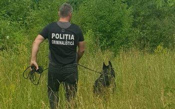 Bătrân de 85 de ani …