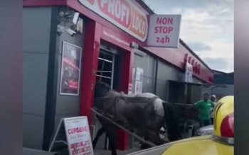 Un paznic a intrat cu …