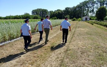 Acțiuni de prevenire pentru stoparea …