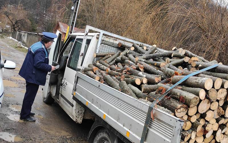 Material lemnos confiscat de la un bătrân de 71 de ani