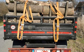 Transportul ilegal de lemn vine …