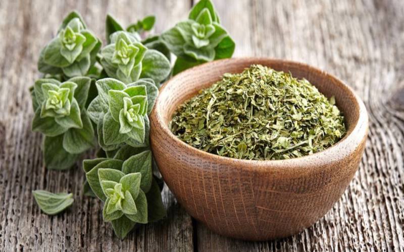 De ce oregano poate fi considerat dezinfectantul alimentelor