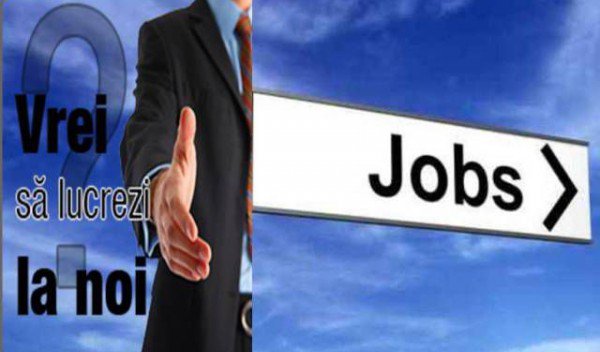AJOFM Botoșani anunță peste 250 de locuri de muncă vacante în Uniunea Europeană