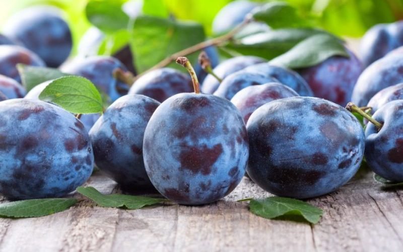 Cum să consumăm prunele pentru a preveni cât mai eficient cancerul de colon