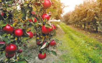 Prognoza meteo pentru luna septembrie. …